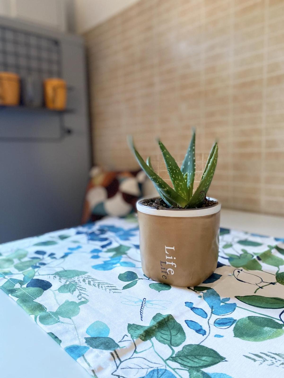 Didi House Duomo Apartman Catania-Fontanarossai nemzetközi repülőtér Kültér fotó